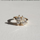 1.5 CT Pear & Marquise Moissanite Two Stone Engagement Ring - farrellouise