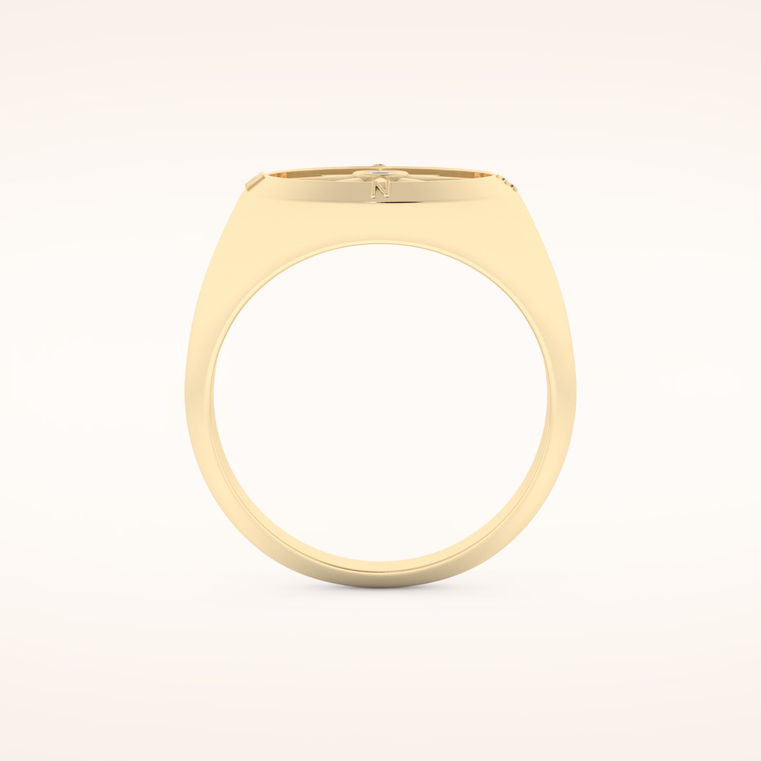 0.04 TCW Round Shaped Moissanite Compass Men's Wedding Band