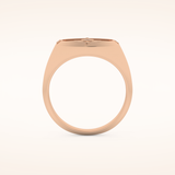 0.04 TCW Round Shaped Moissanite Compass Men's Wedding Band