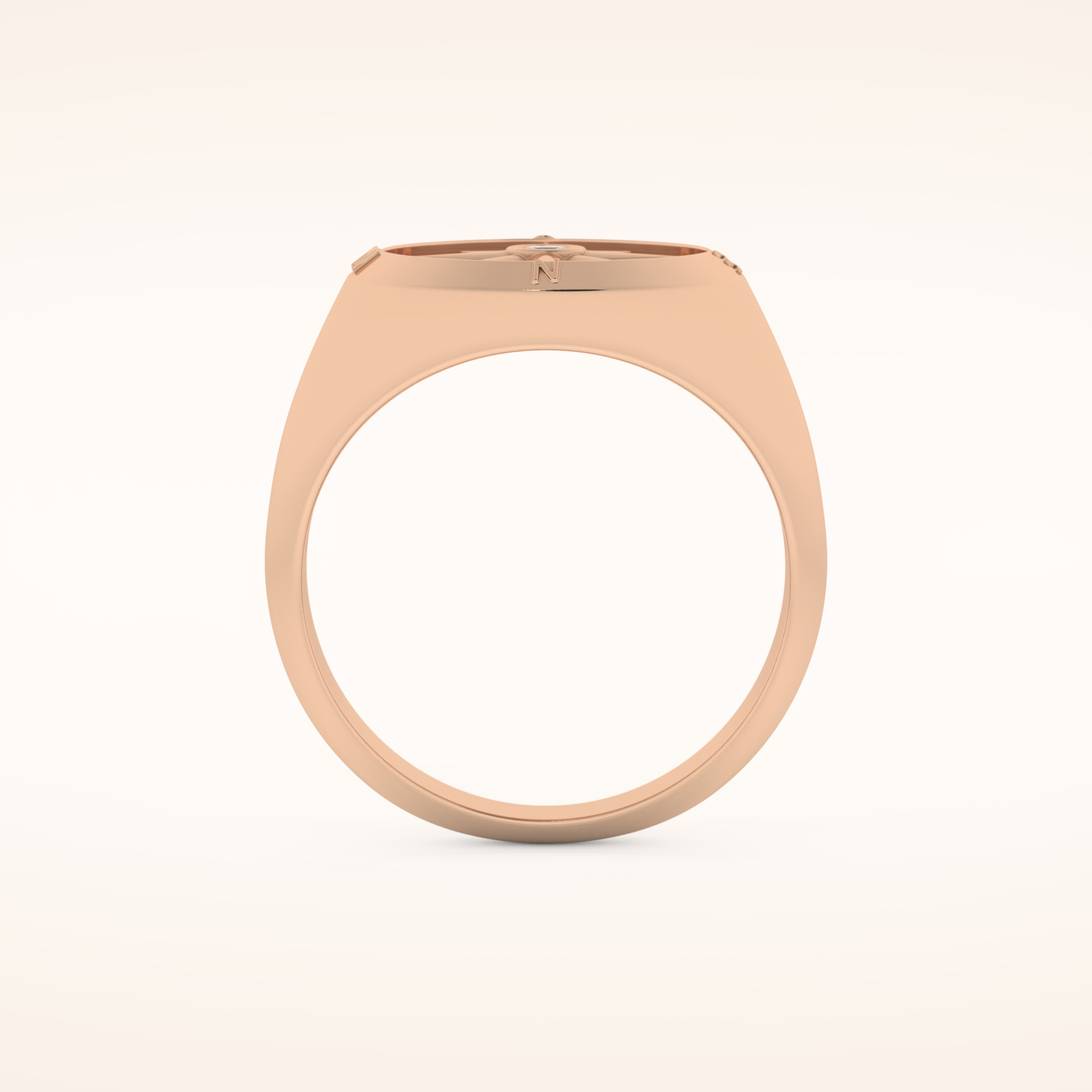 0.04 TCW Round Shaped Moissanite Compass Men's Wedding Band