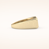 0.06 TCW Round Shaped Moissanite Signet Men's Wedding Band