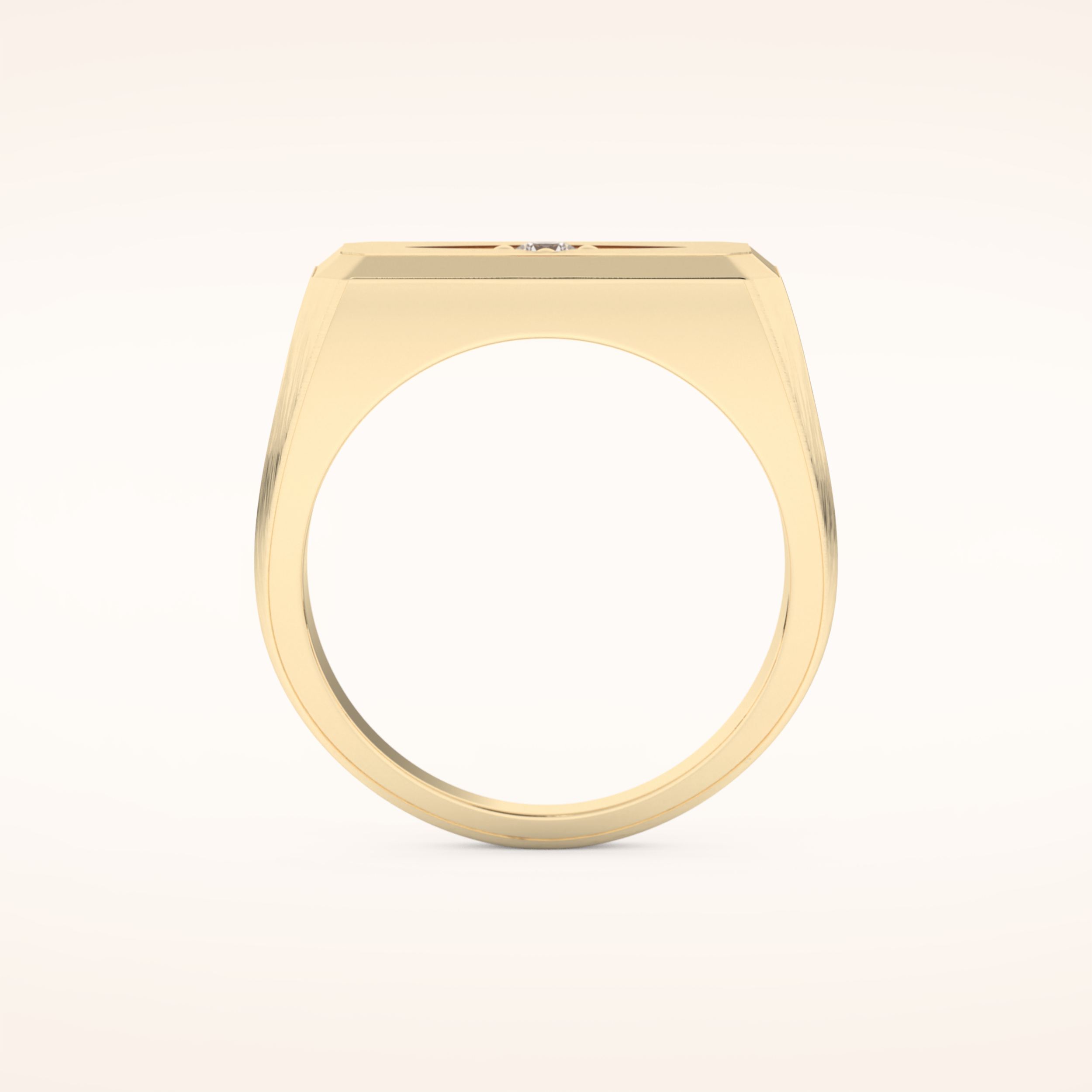 0.06 TCW Round Shaped Moissanite Signet Men's Wedding Band