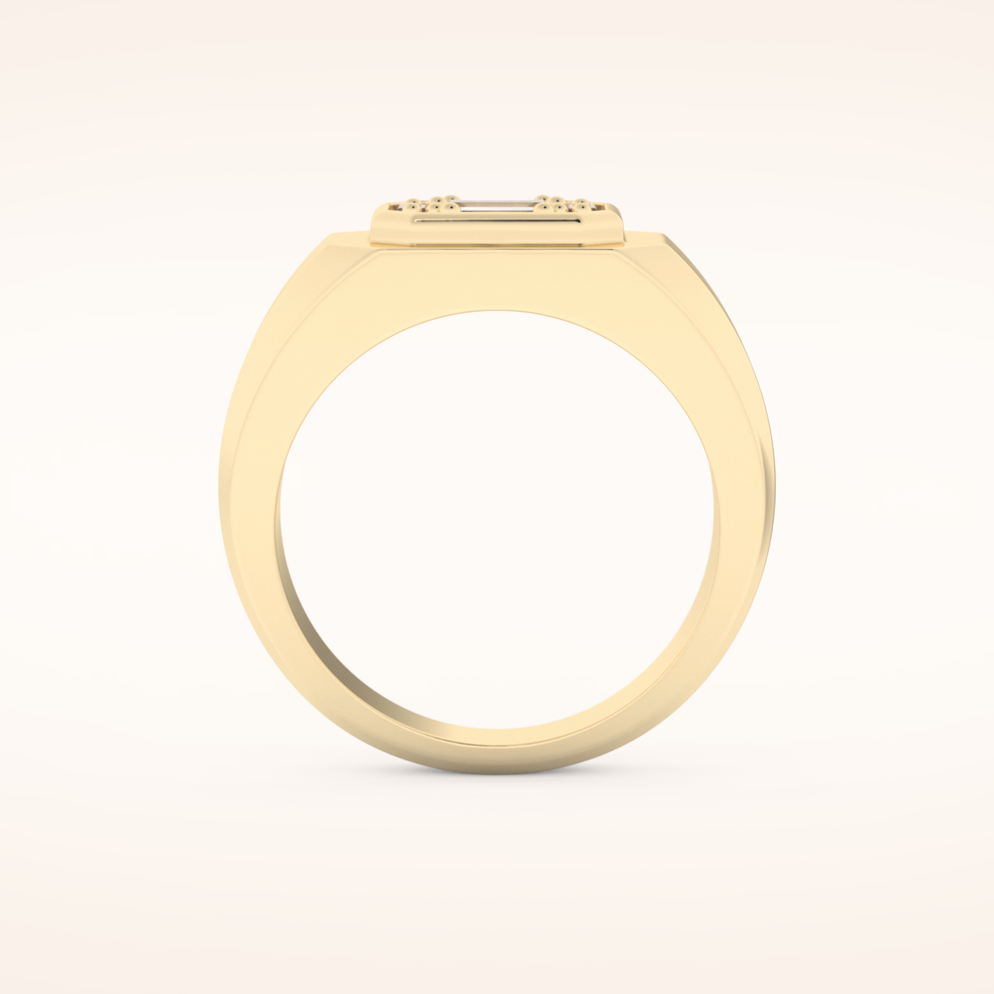 0.46 TCW Round & Baguette Shaped Moissanite Signet Multi Stone Wedding Band