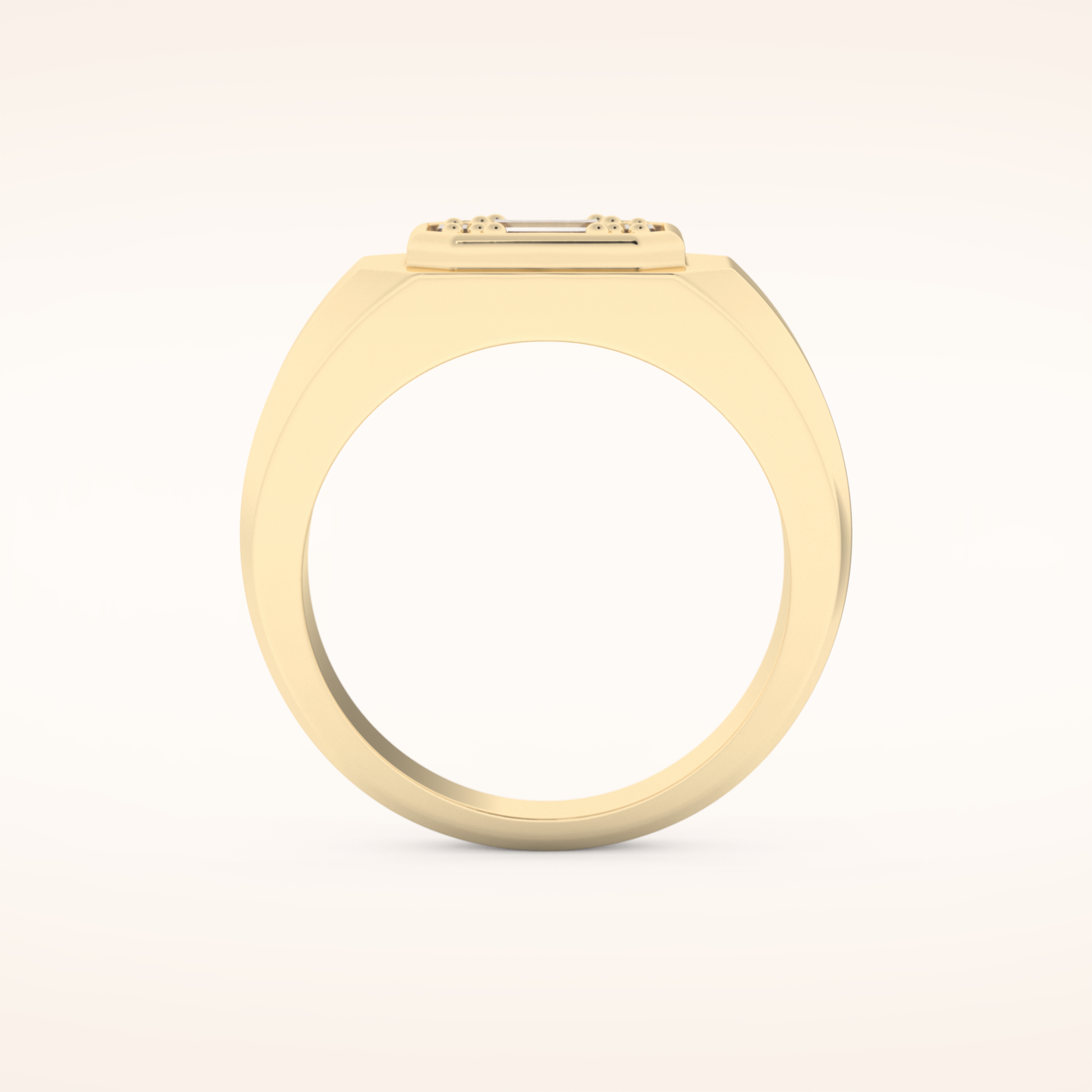 0.46 TCW Round & Baguette Shaped Moissanite Signet Multi Stone Wedding Band