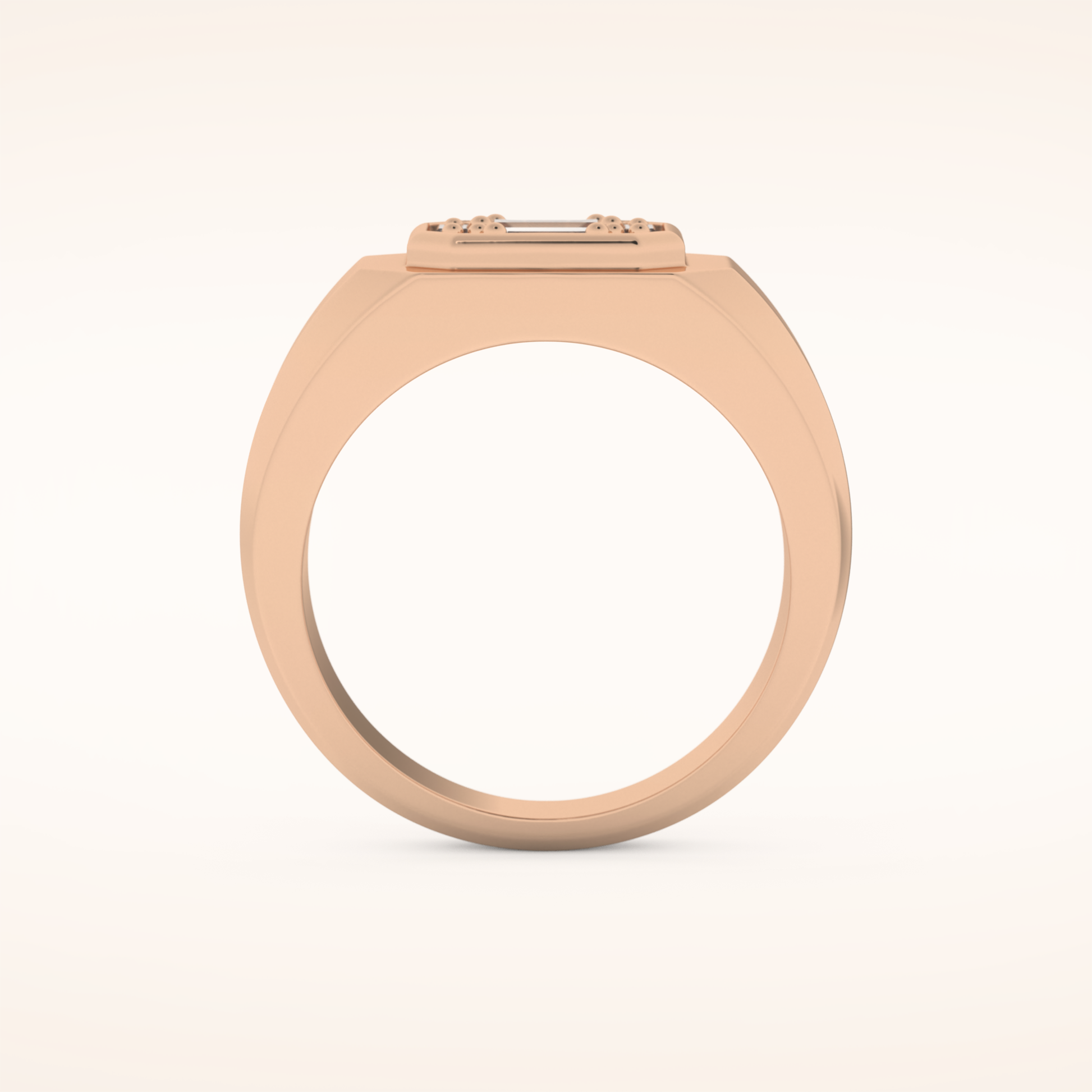 0.46 TCW Round & Baguette Shaped Moissanite Signet Multi Stone Wedding Band