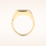 0.15 TCW Round Shaped Moissanite Signet Men's Wedding Band