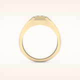 0.381 TCW Round & Princess Shaped Moissanite Signet Men's Wedding Band