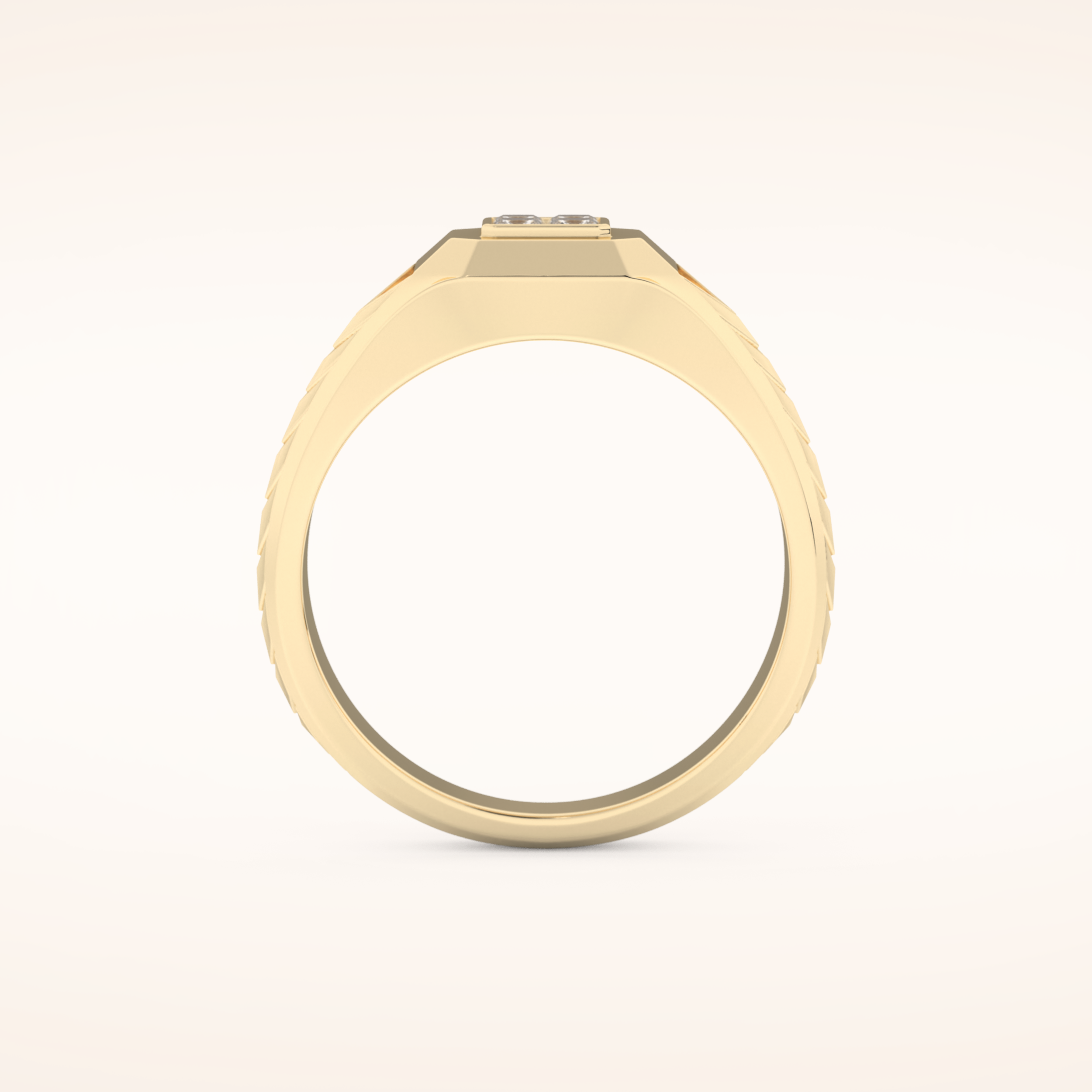0.381 TCW Round & Princess Shaped Moissanite Signet Men's Wedding Band