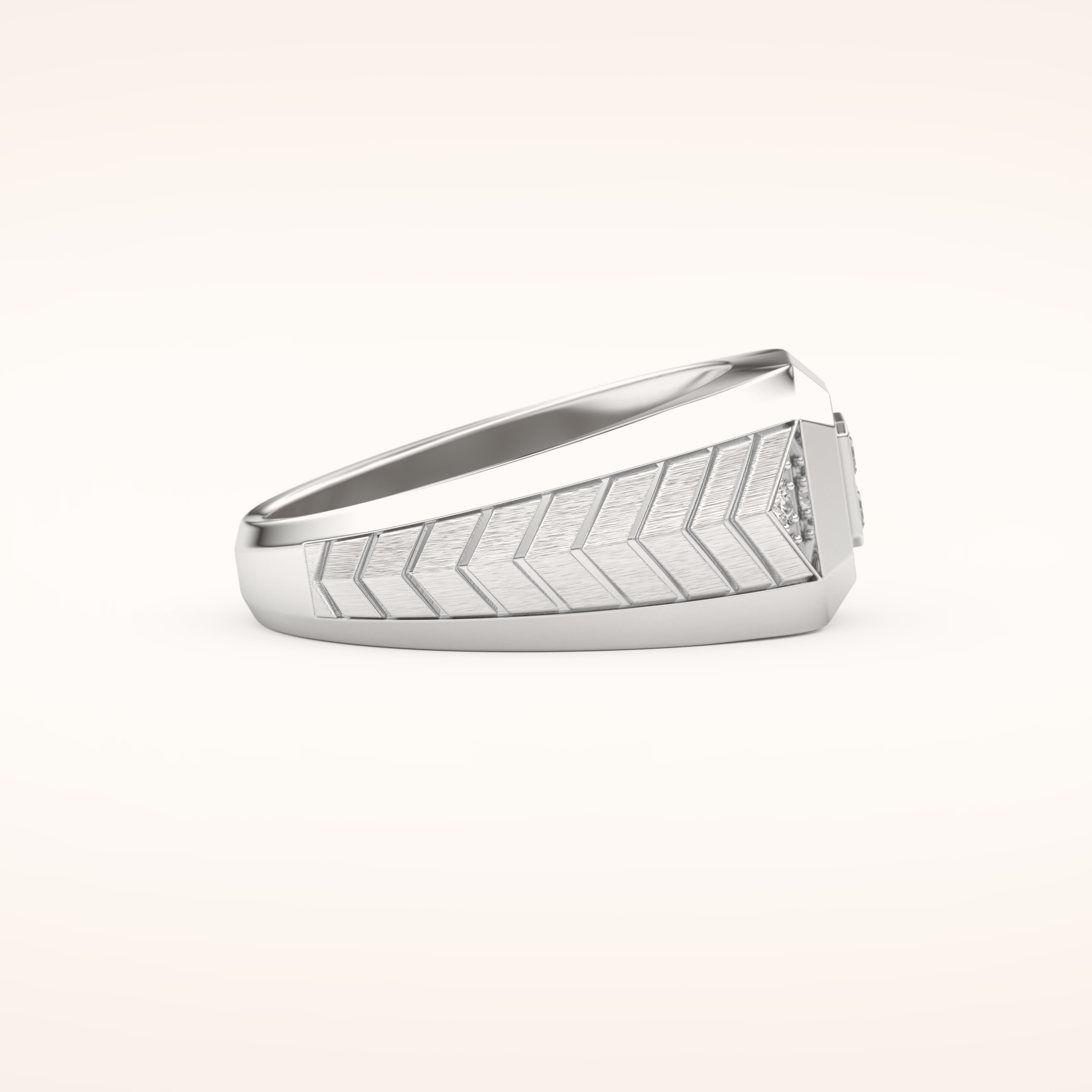 0.381 TCW Round & Princess Shaped Moissanite Signet Men's Wedding Band