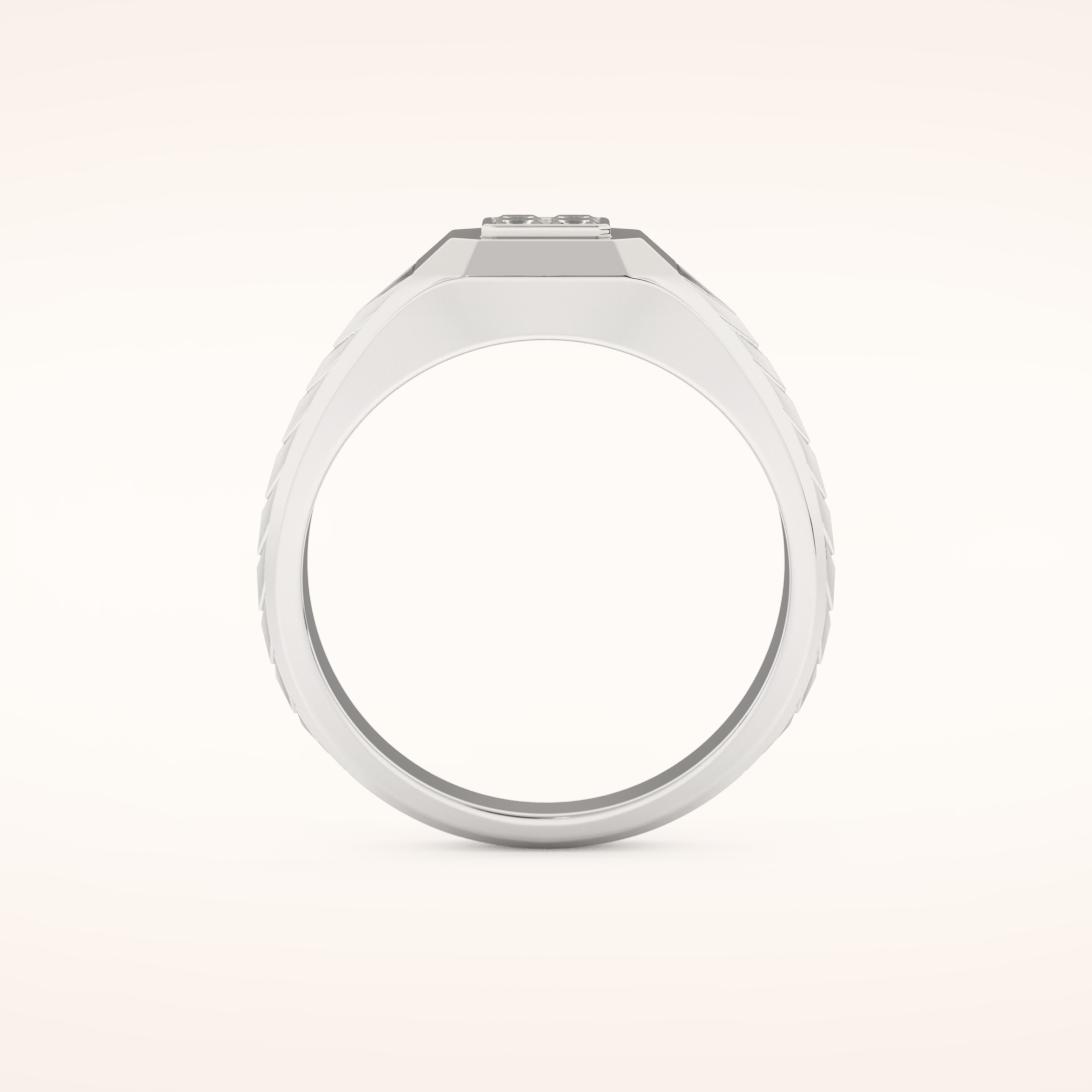 0.381 TCW Round & Princess Shaped Moissanite Signet Men's Wedding Band