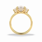 Round Three Stones Lab Grown Diamond Engagement Ring