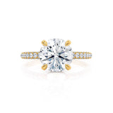 Round Pave Lab Grown Diamond Engagement Ring