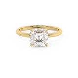 Asscher Hidden Halo Lab Grown Diamond Engagement Ring