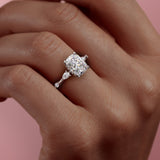 FLM245