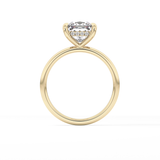 Princess Hidden Halo Lab Grown Diamond Engagement Ring