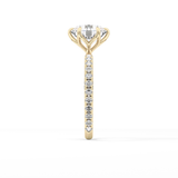 Round Pave Lab Grown Diamond Engagement Ring