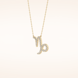 0.108 TCW Round Cut Moissanite Capricorn Zodiac Sign Necklace