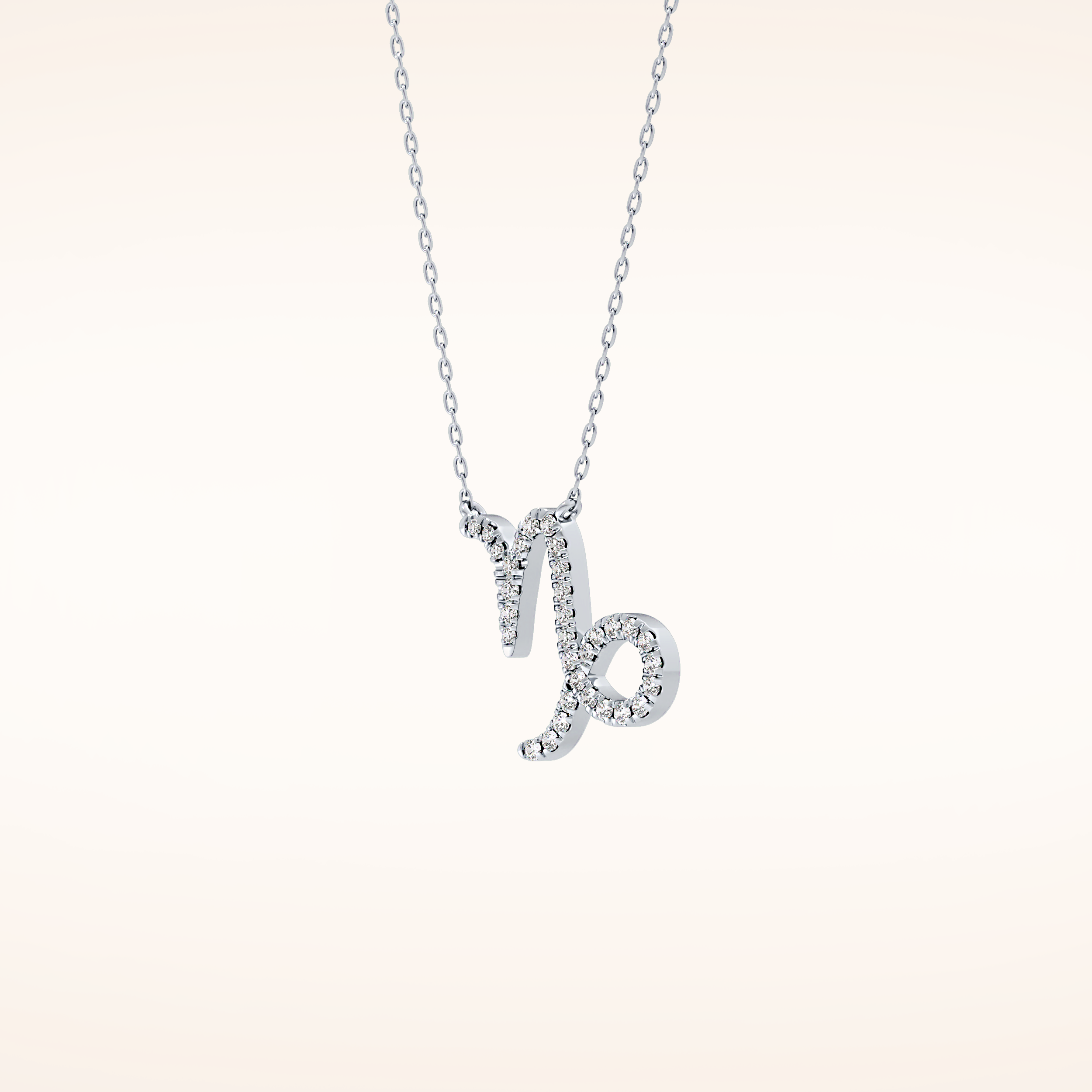 0.108 TCW Round Cut Moissanite Capricorn Zodiac Sign Necklace