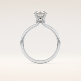 0.033 CT Round Shaped Hidden Halo Moissanite Engagement Ring