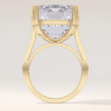 1.29 CT Emerald Shaped Cluster Moissanite Engagement Ring