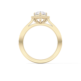 Pear Cut 1.2 Carat Moissanite Ring – Halo & Pave Setting in Gold
