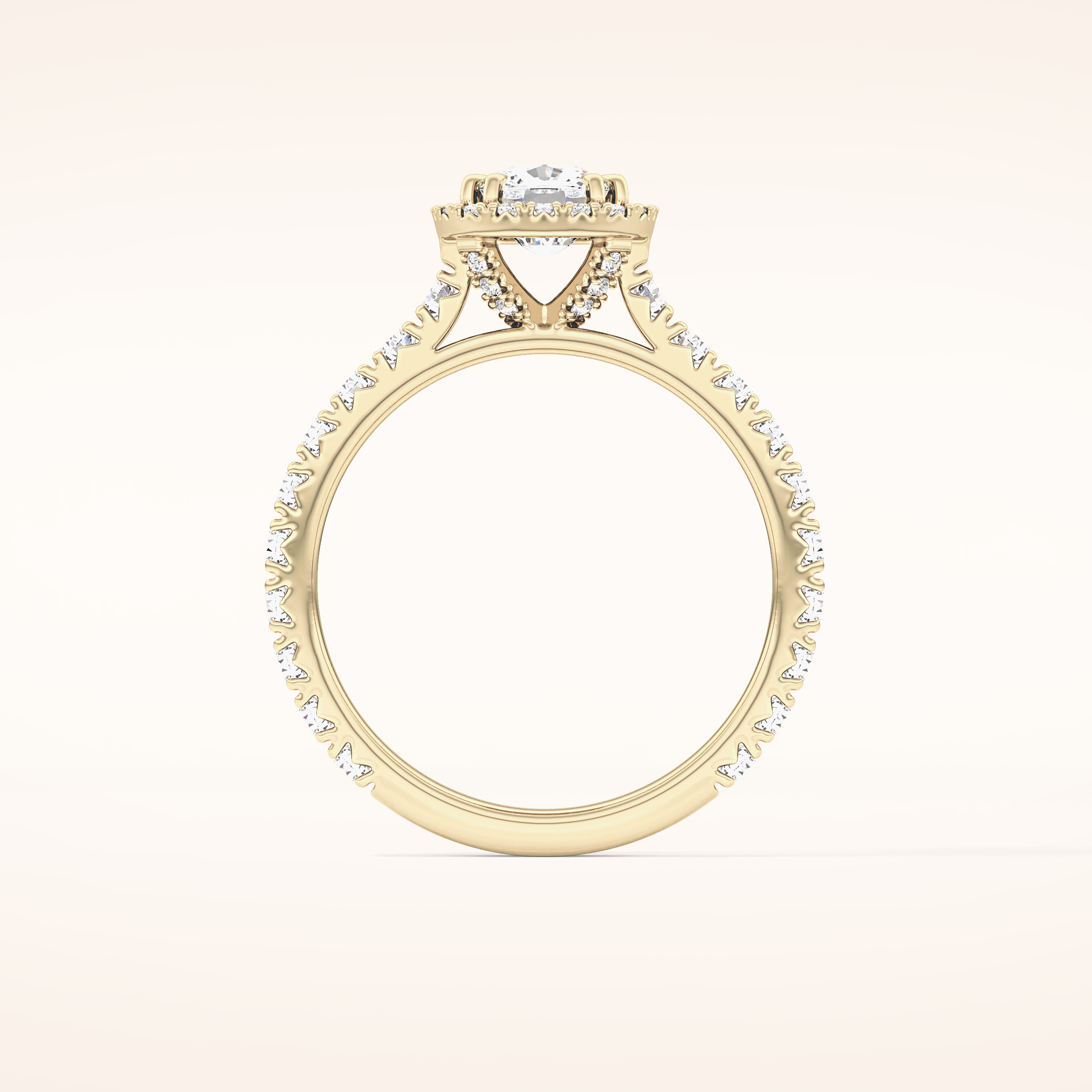 1.04 CT Cushion Shaped Halo & Pave Moissanite Engagement Ring