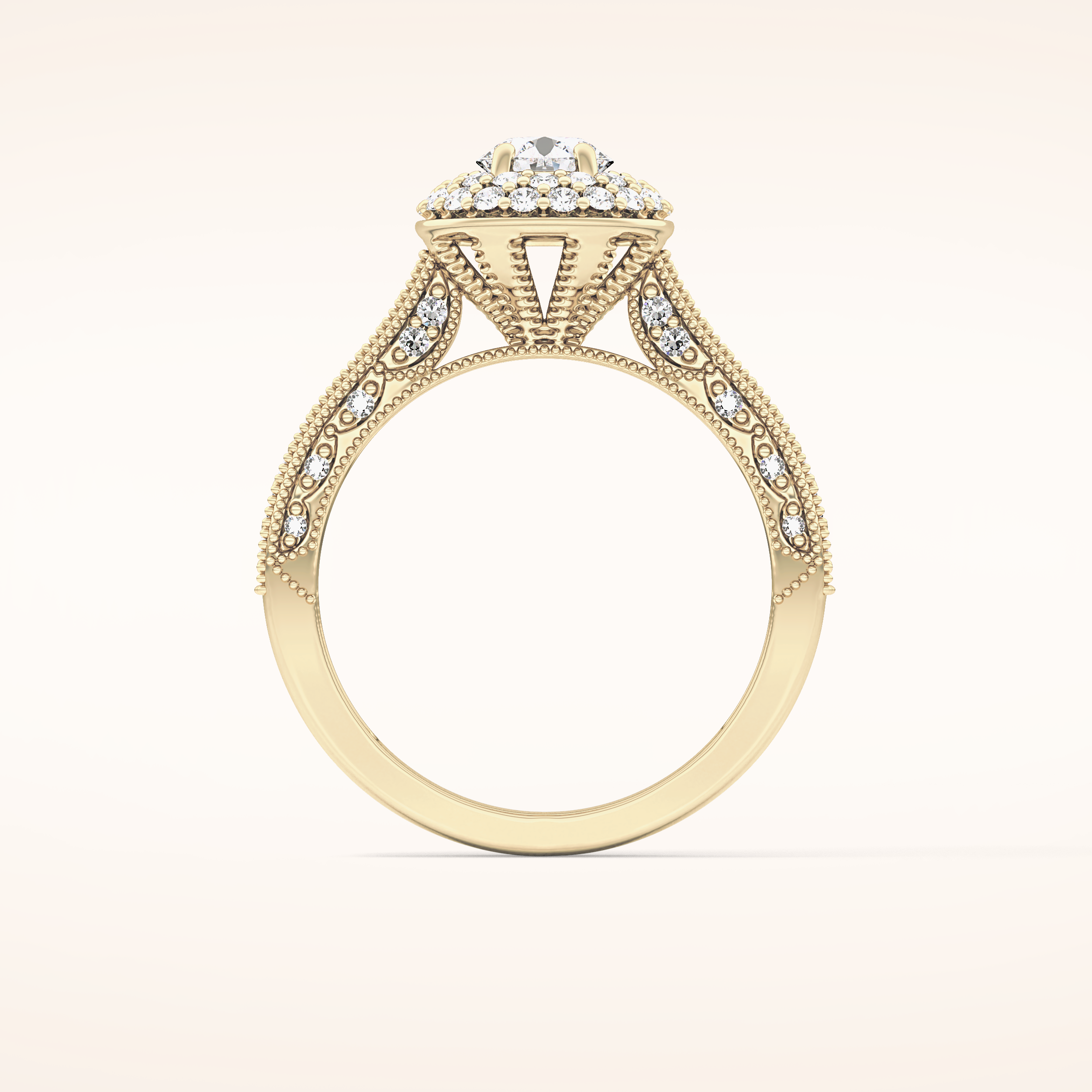 0.46 CT Round Shaped Double Halo & Pave Moissanite Engagement Ring
