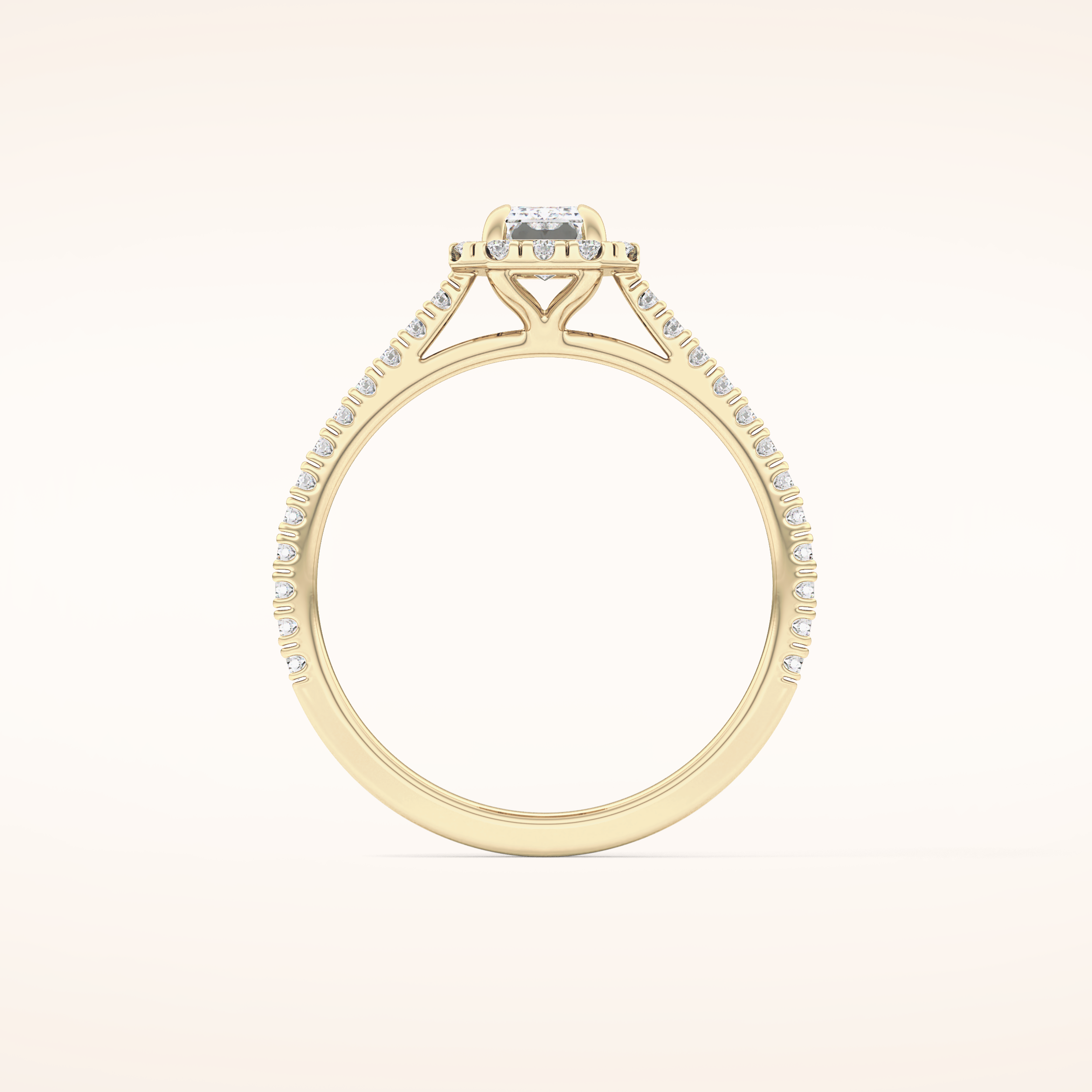 0.56 CT Emerald Shaped Halo & Pave Moissanite Engagement Ring