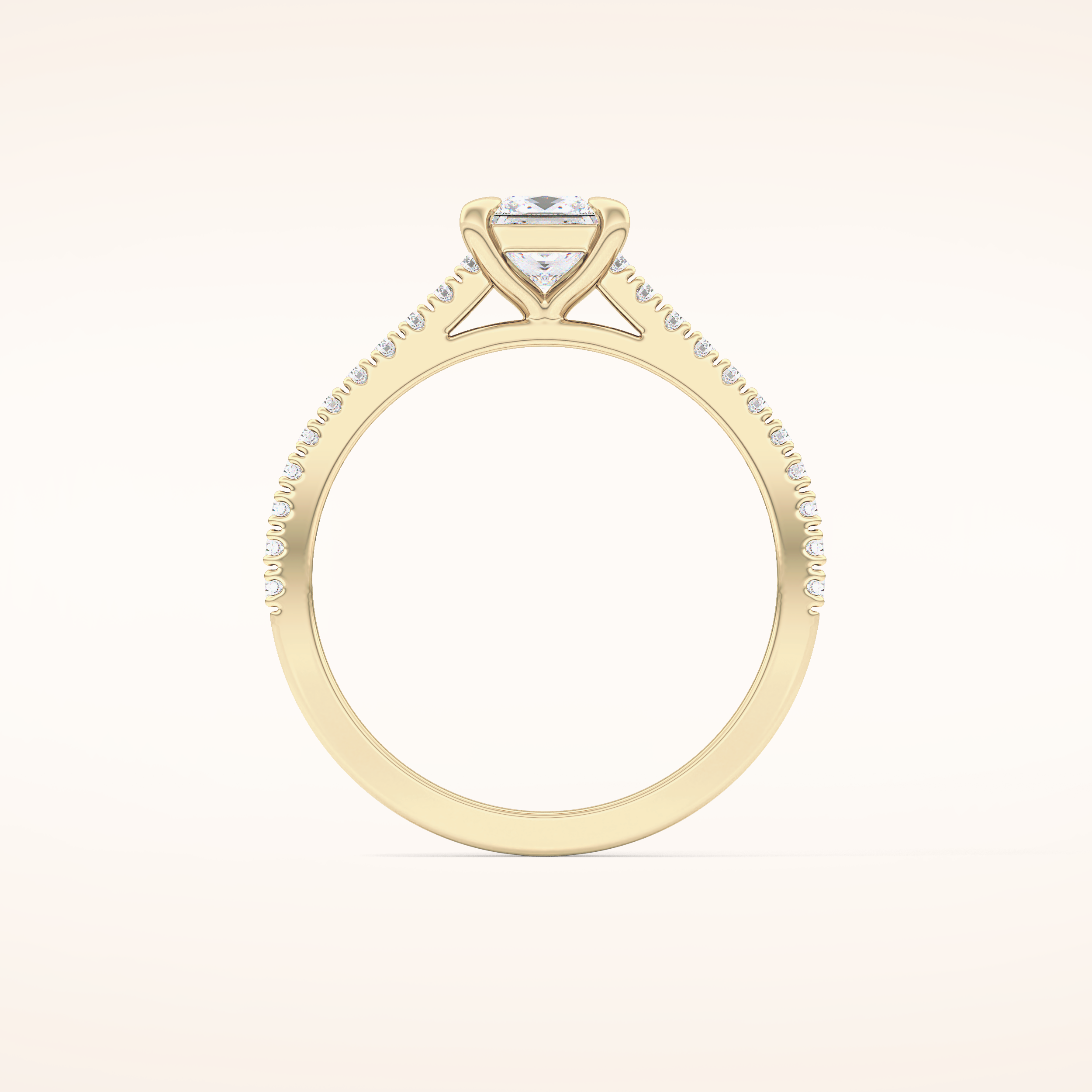 0.57 CT Princess Shaped Pave Moissanite Engagement Ring