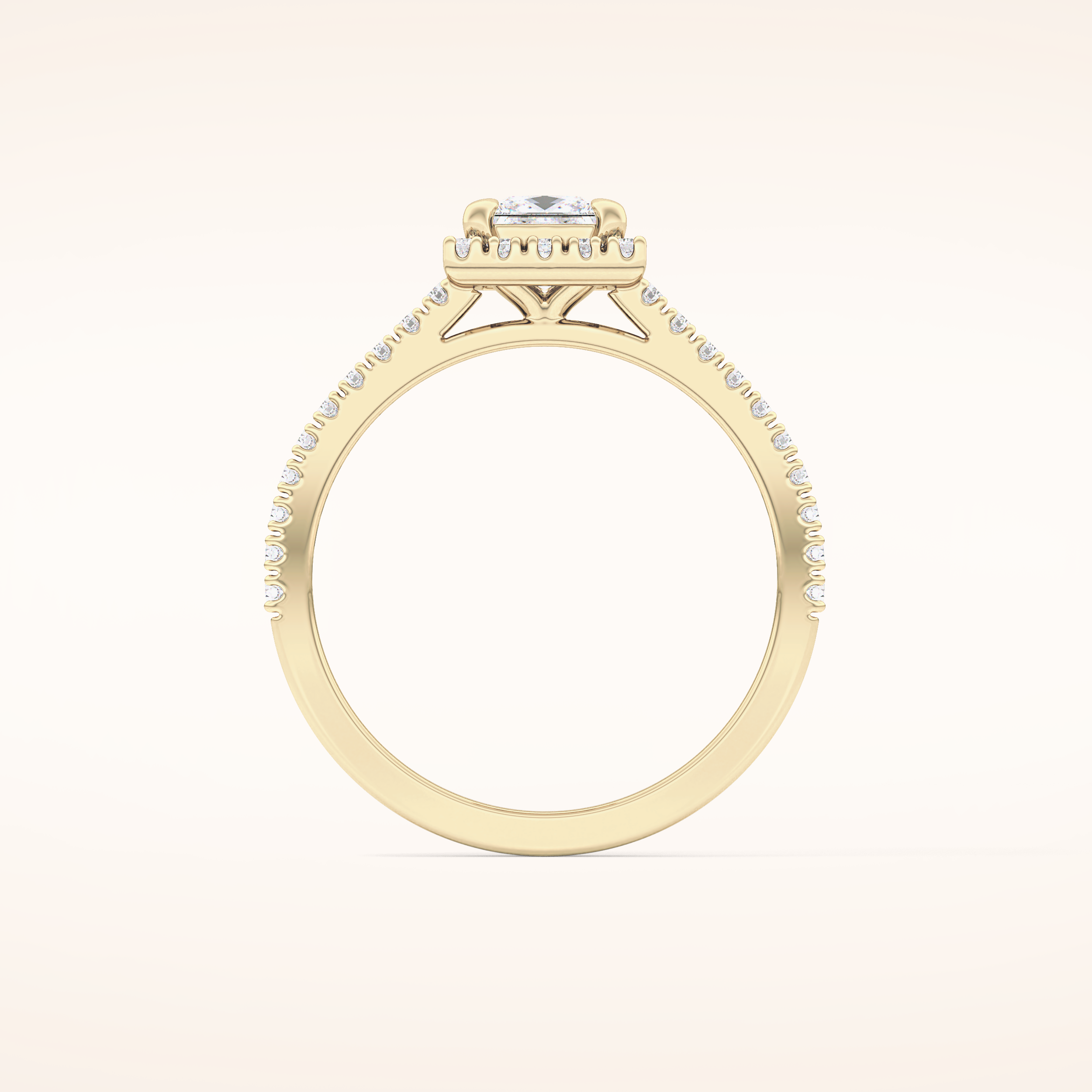 0.57 CT Princess Shaped Halo & Pave Moissanite Engagement Ring