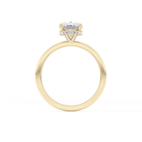Cushion Hidden Halo Lab Grown Diamond Engagement Ring