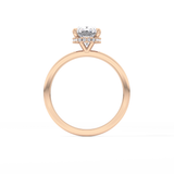Cushion Hidden Halo Lab Grown Diamond Engagement Ring