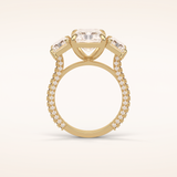 3.51 CT Radiant Shaped Three Stones & Pave Moissanite Engagement Ring