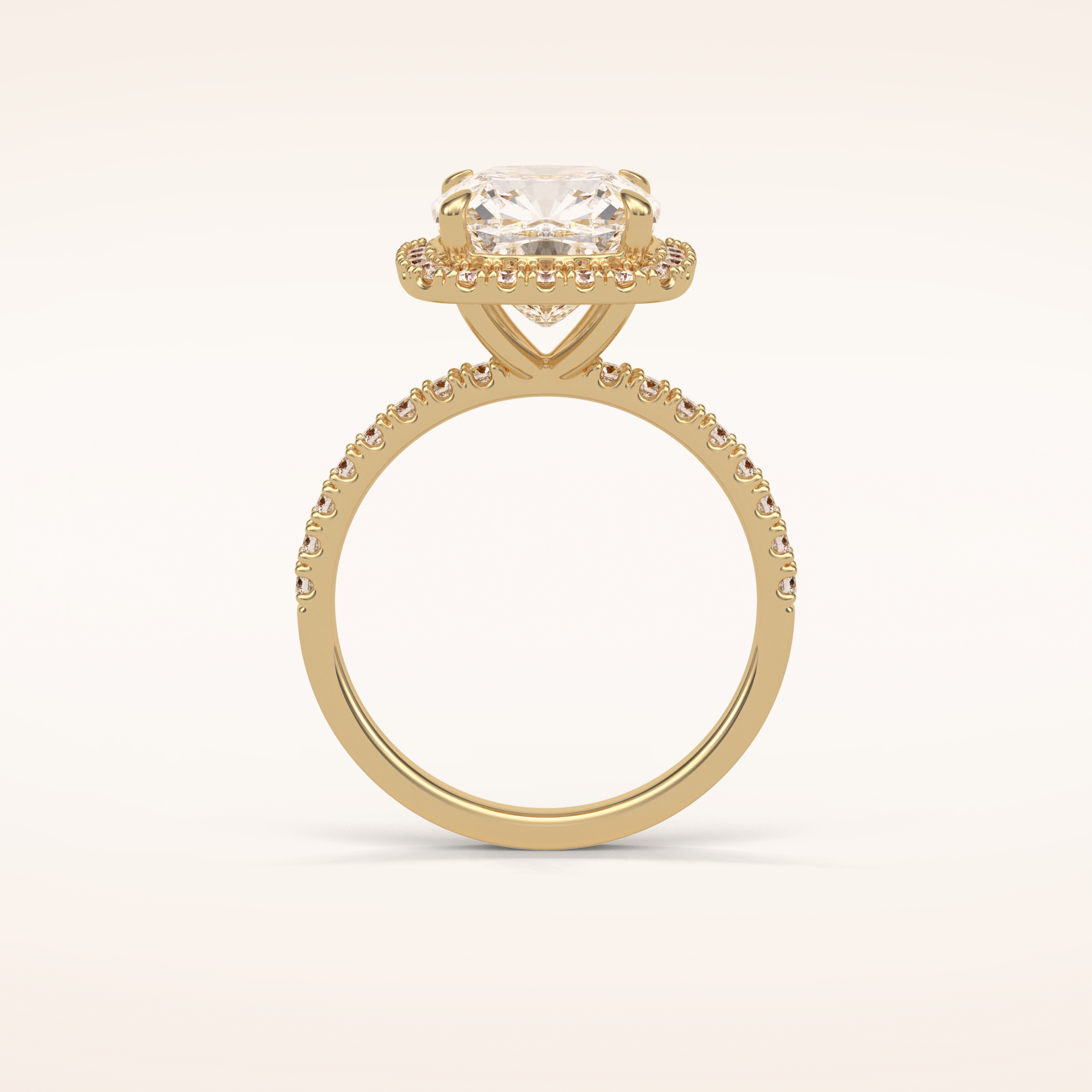 3 CT Cushion Shaped Halo & Pave Moissanite Engagement Ring