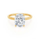 Elongated Cushion Hidden Halo Lab Grown Diamond Engagement Ring