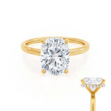 Elongated Cushion Hidden Halo Lab Grown Diamond Engagement Ring