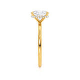 Elongated Cushion Hidden Halo Lab Grown Diamond Engagement Ring
