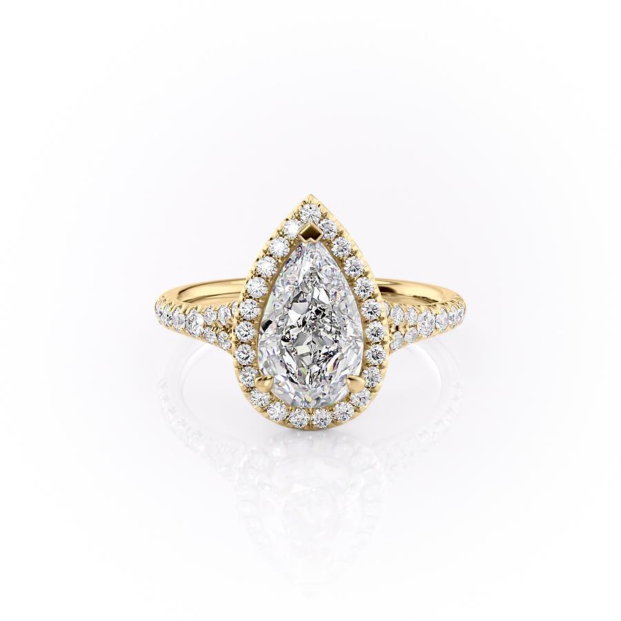 FLM209